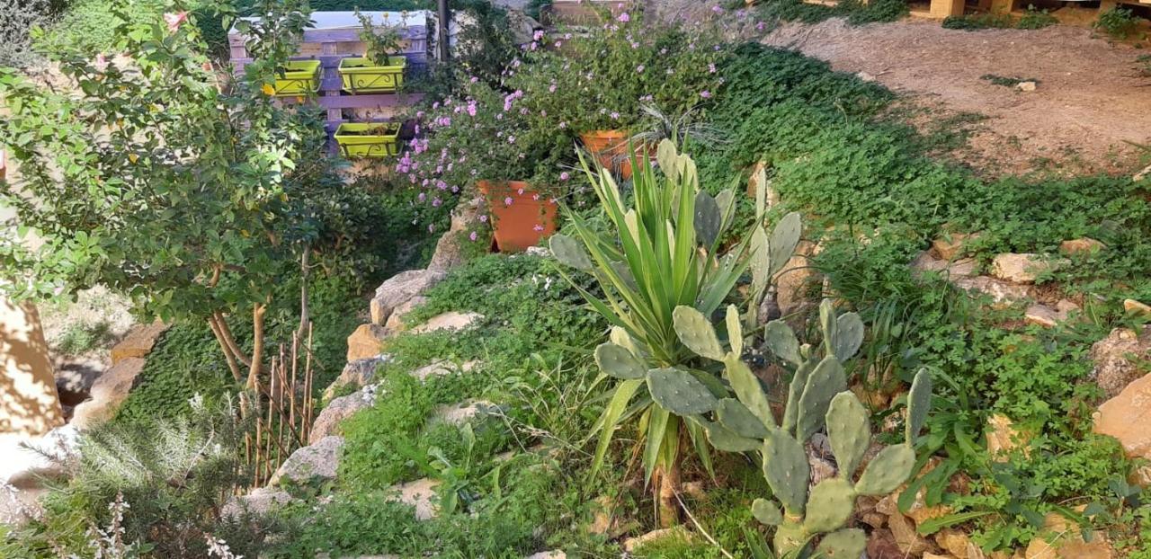 Il Moro Di Sicilia Apartment Термини-Имерезе Экстерьер фото